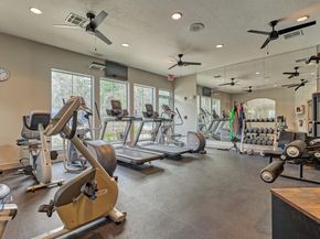 166 W Lilac Ridge Place, The Woodlands TX 77384