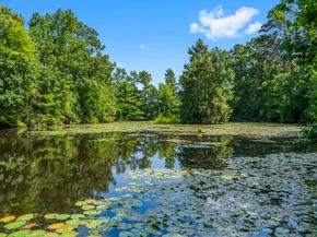 426 Nursery Road, Spring TX 77380