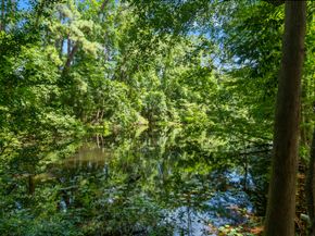 426 Nursery Road, Spring TX 77380