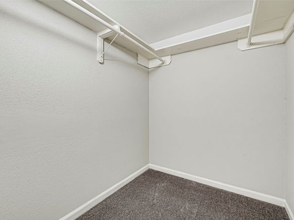 1515 Sandy Springs Road 3003, Houston TX 77042
