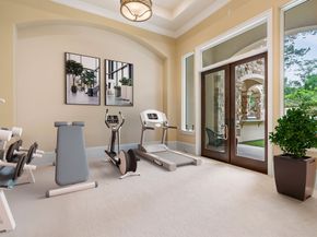 50 Silver Iris Way, The Woodlands TX 77382