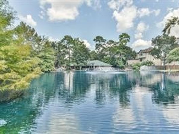 2815 Kings Crossing Drive 319, Houston TX 77345