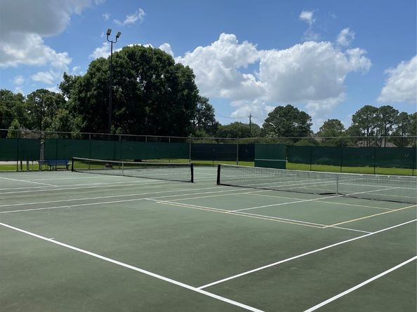 14202 Misty Knoll Court, Houston TX 77062