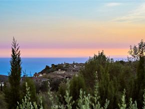 6 Canyon Peak, Newport Coast CA 92657