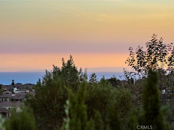 6 Canyon Peak, Newport Coast CA 92657