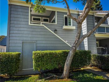 7351 Coho Drive