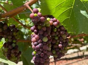 3202 Portico Del Norte, San Clemente CA 92673