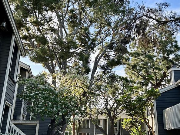 25603 Pine Creek Lane, Wilmington CA 90744