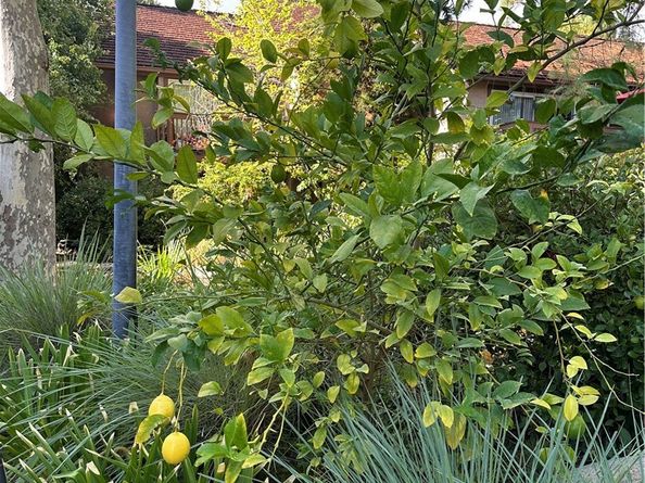 7050 Shoup Avenue 178, Canoga Park CA 91303