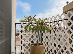 12130 W Ohio Avenue 308, Los Angeles CA 90025