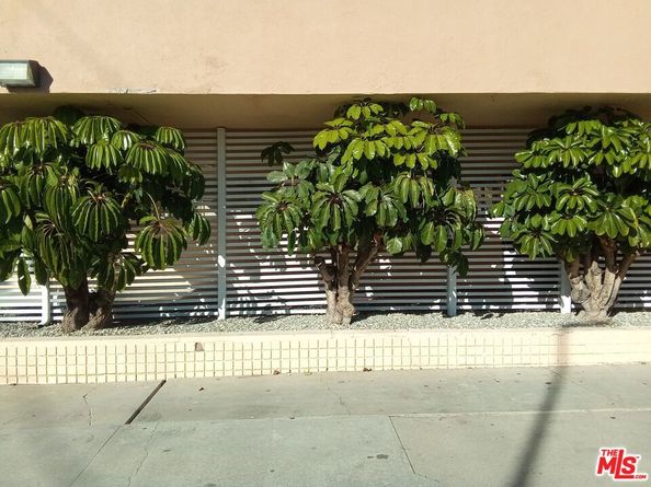 15312 S Normandie Avenue 103, Gardena CA 90247