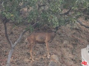 10940 Terryview Drive, Studio City CA 91604