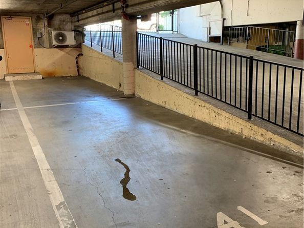 1115 S Elm Drive 207, Los Angeles CA 90035