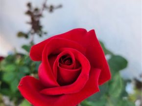 7545 Calais Court, Rancho Cucamonga CA 91730