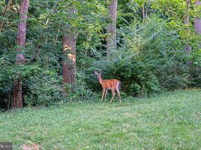 3770 39TH Street NW A133, Washington DC 20016