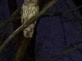 3770 39TH Street NW A133, Washington DC 20016