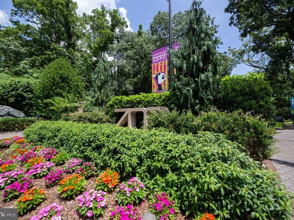 3025 Ontario Road NW 105, Washington DC 20009
