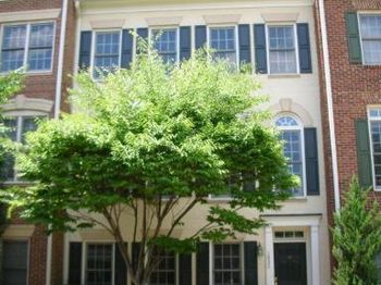 1652 Colonial Hills Drive