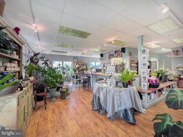 83 S Hamilton Street, Doylestown PA 18901