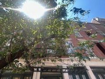 212 Race Street