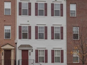 3941 Old Dominion Boulevard