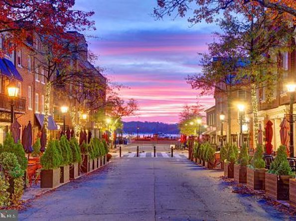 30 Alexander Street, Alexandria VA 22314