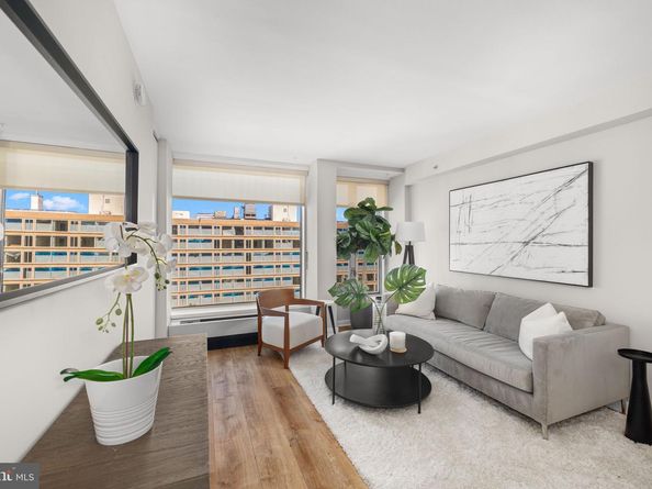 1101 3rd Street SW 703, Washington DC 20024