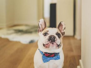 1101 3rd Street SW 703, Washington DC 20024