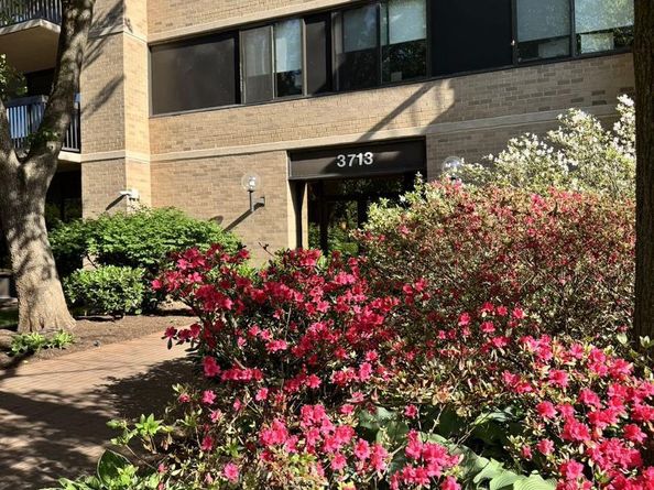 3713 S George Mason Drive 1005, Falls Church VA 22041