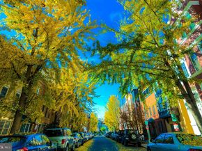 1740 New Hampshire Avenue NW NHF, Washington DC 20009
