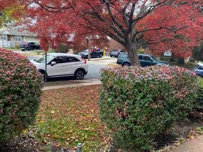 172 Bridge Street, Drexel Hill PA 19026