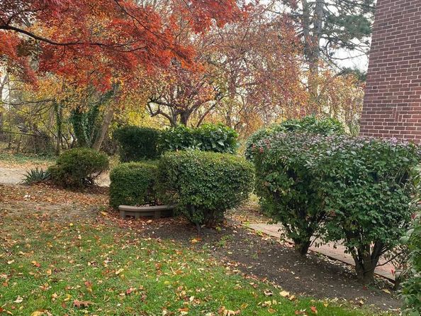 172 Bridge Street, Drexel Hill PA 19026