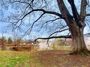1001 26TH NW 705, Washington DC 20037