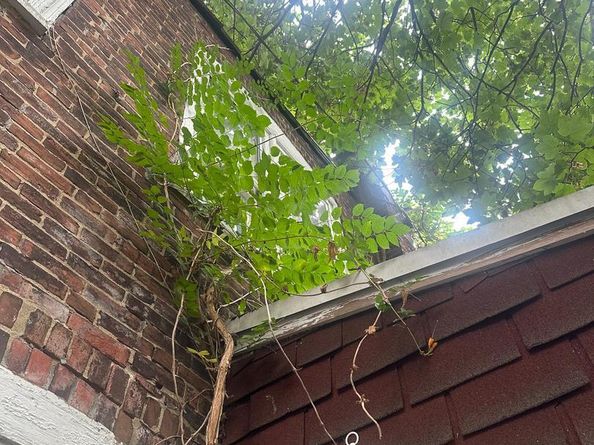 15 E Rittenhouse Street, Philadelphia PA 19144