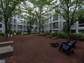 4101 Albemarle Street NW 443, Washington DC 20016