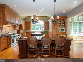 226 Mcclenaghan Mill Road, Wynnewood PA 19096