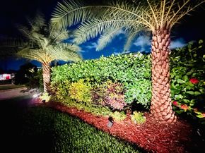 301 NE 23rd St, Boca Raton FL 33431