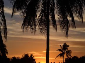 2706 James River Road, West Palm Beach FL 33411
