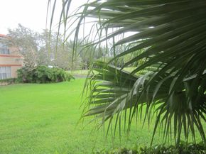 3310 Pinewalk Dr N 1812, Margate FL 33063