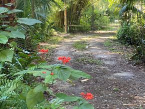 17437 Jupiter Farms Road, Jupiter FL 33478