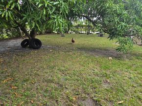 17230 NW 10th Ct, Miami FL 33169