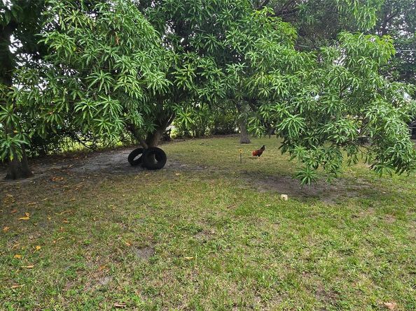 17230 NW 10th Ct, Miami FL 33169