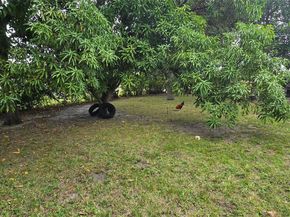 17230 NW 10th Ct, Miami FL 33169