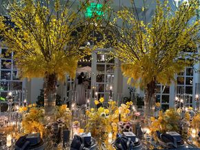 300 S Australian Avenue 1219, West Palm Beach FL 33401