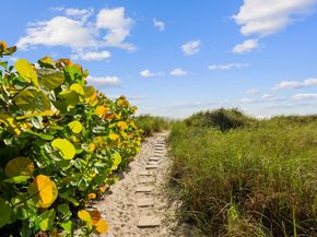 2200 S Ocean Boulevard 401, Delray Beach FL 33483