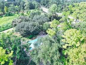 14655 Champion Forest Drive 1102, Houston TX 77069