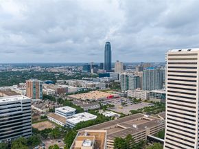 5 Briar Dale Court, Houston TX 77027