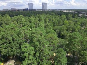 2 Rolling Mill Lane, The Woodlands TX 77380