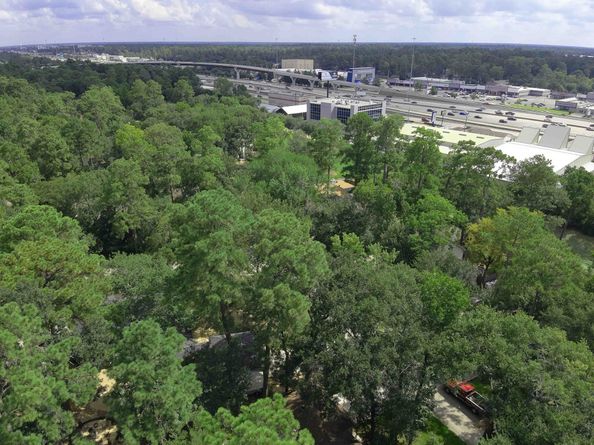 2 Rolling Mill Lane, The Woodlands TX 77380