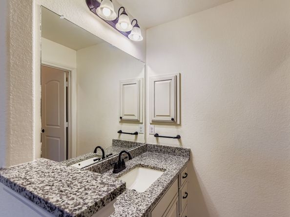19622 Chaparral Berry Drive, Cypress TX 77433